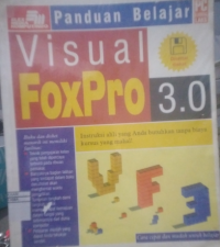 VISUAL FOXPRO 3.0